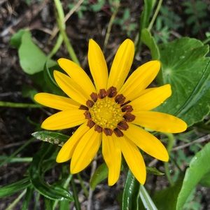 Meet your Posher, Dee